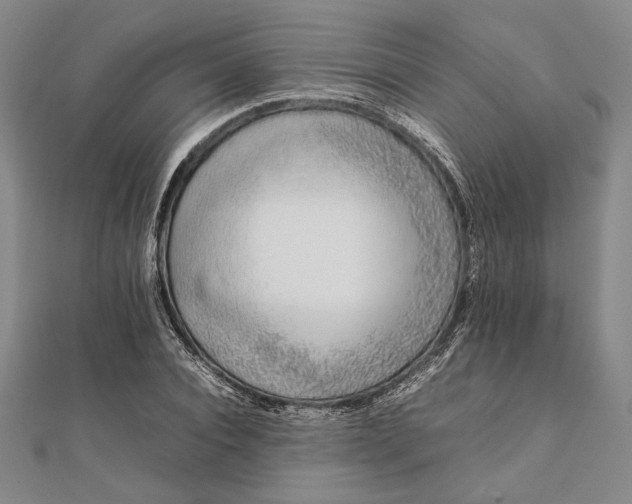X0000111780928200908061112