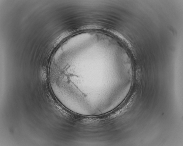 X0000111780929200908061112