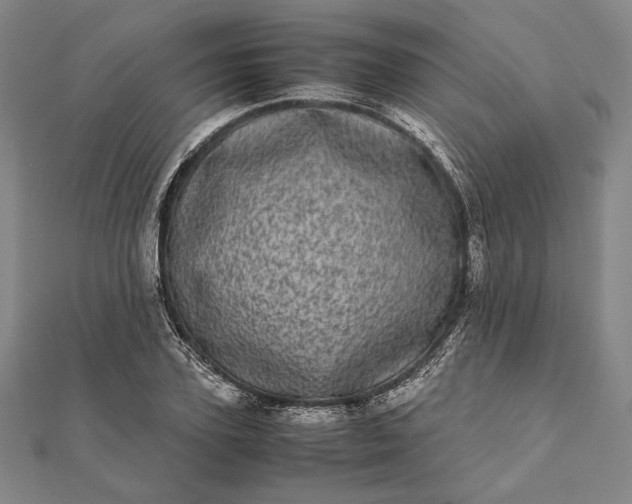 X0000111780931200908061112