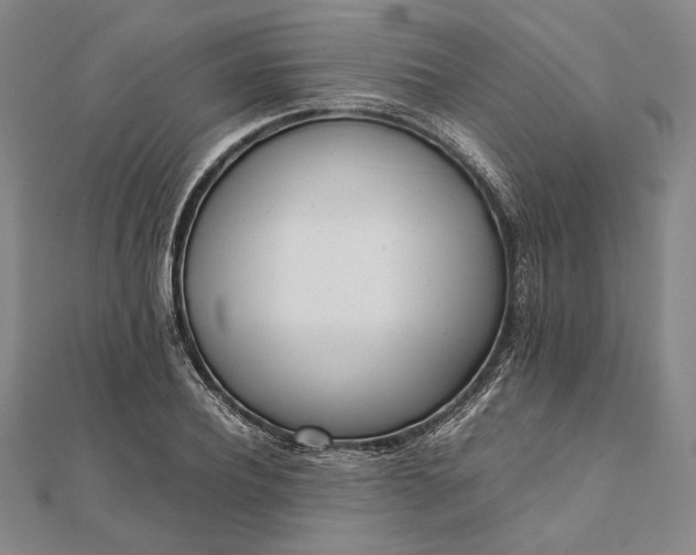 X0000111780932200908061112