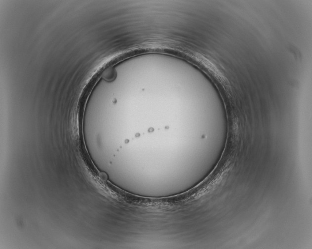 X0000111780934200908061112