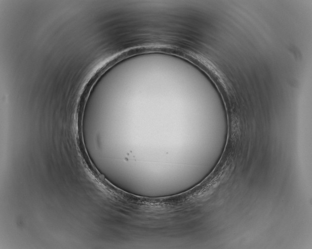 X0000111780935200908061112