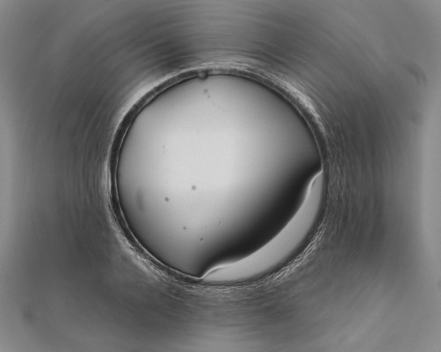 X0000111780936200908061112