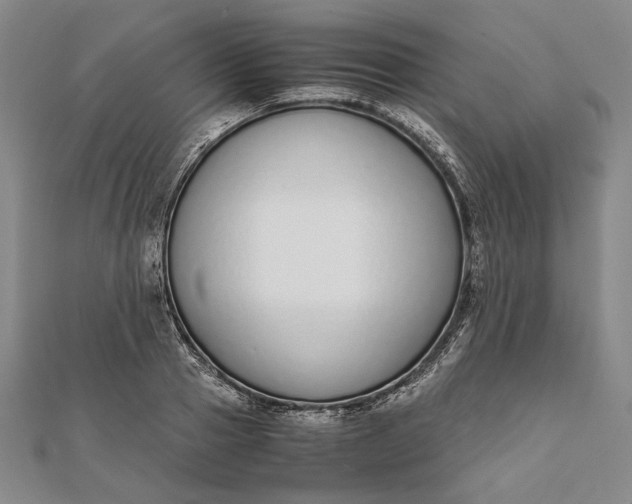 X0000111780937200908061112