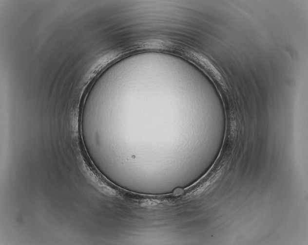 X0000111780938200908061112
