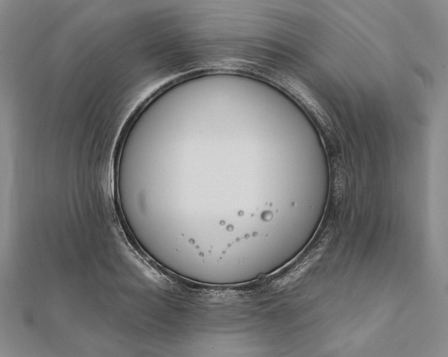 X0000111780940200908061112
