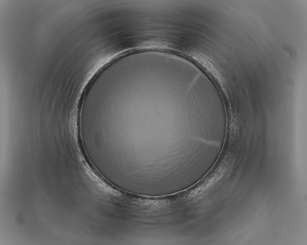 X0000111780941200908061112
