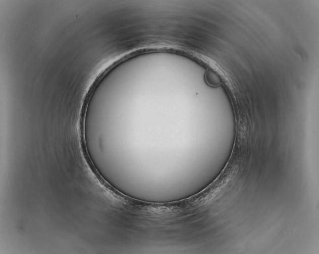X0000111780943200908061112