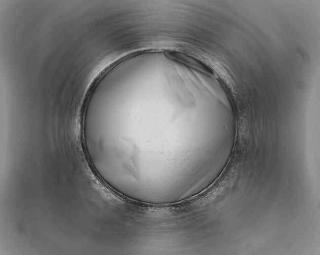 X0000111780944200908061112