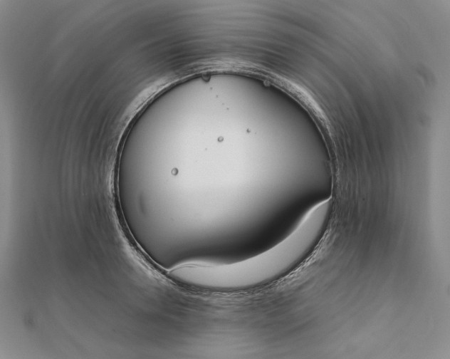 X0000111780946200908061112