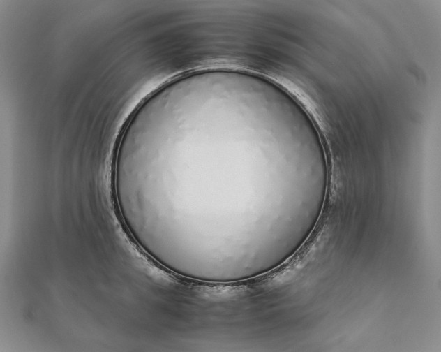 X0000111780949200908061112