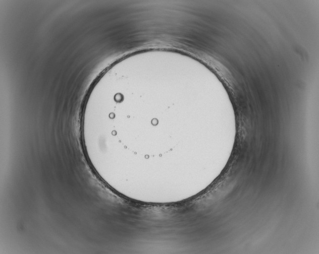 X0000111780950200908061112