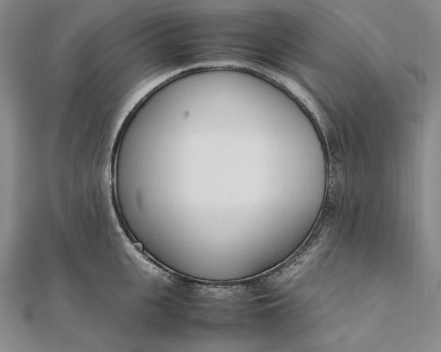 X0000111780951200908061112