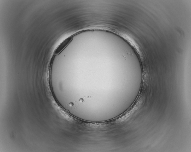 X0000111780952200908061112