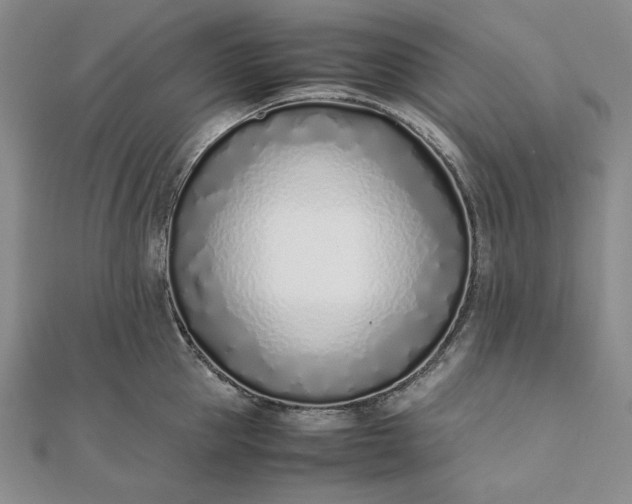 X0000111780953200908061112