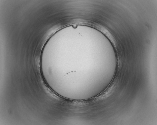 X0000111780954200908061112