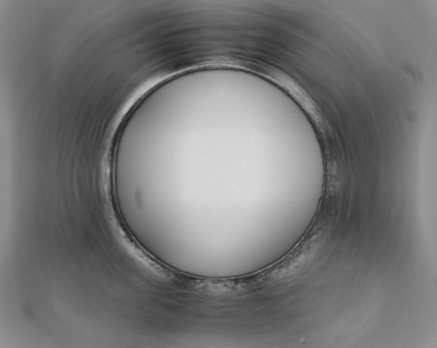 X0000111780955200908061112
