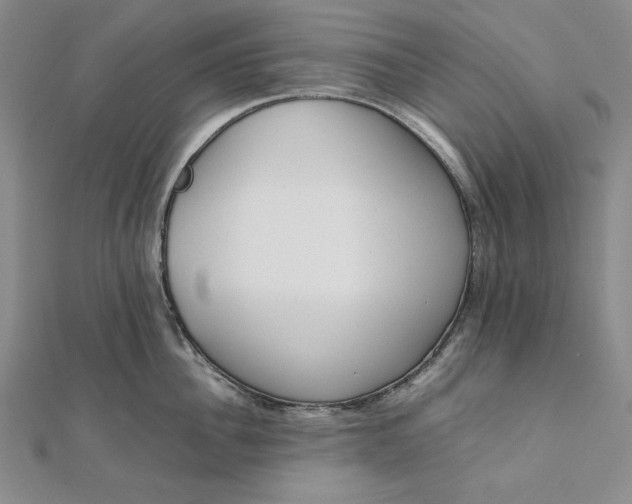 X0000111780956200908061112