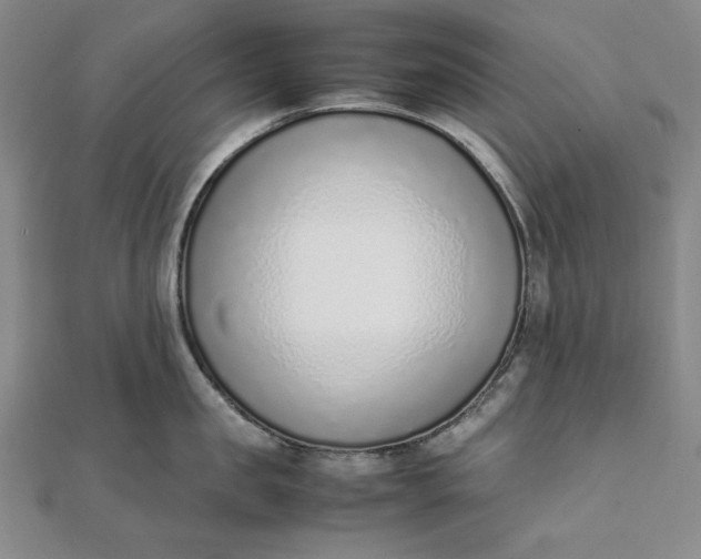 X0000111780957200908061112