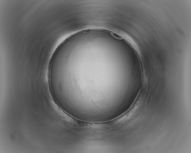 X0000111780958200908061112