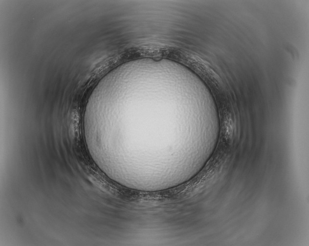 X0000111780964200908061111