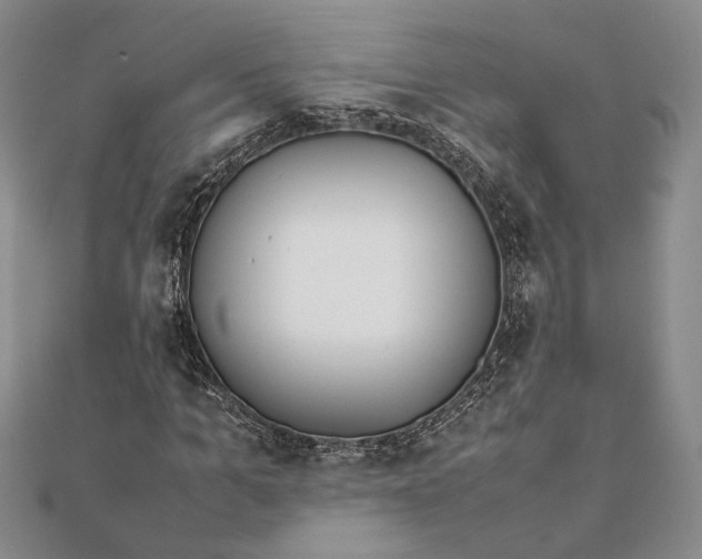 X0000111780965200908061111