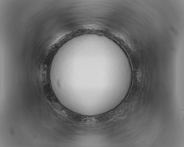 X0000111780968200908061111