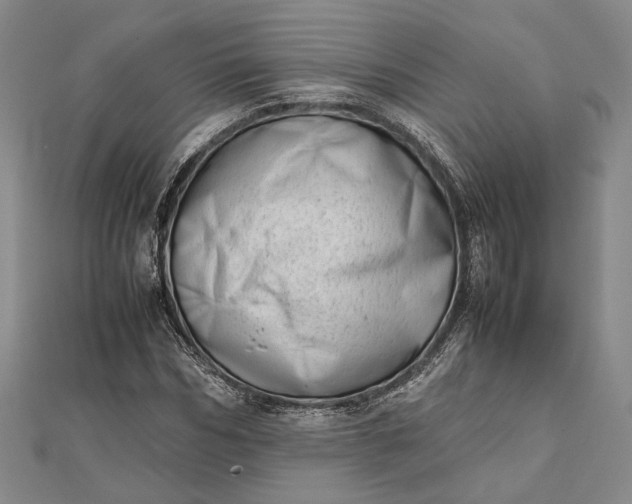 X0000111780970200908061111