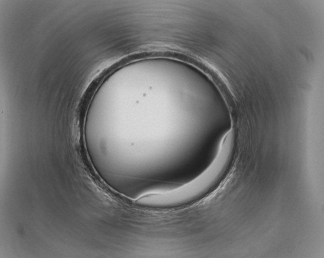 X0000111780973200908061111