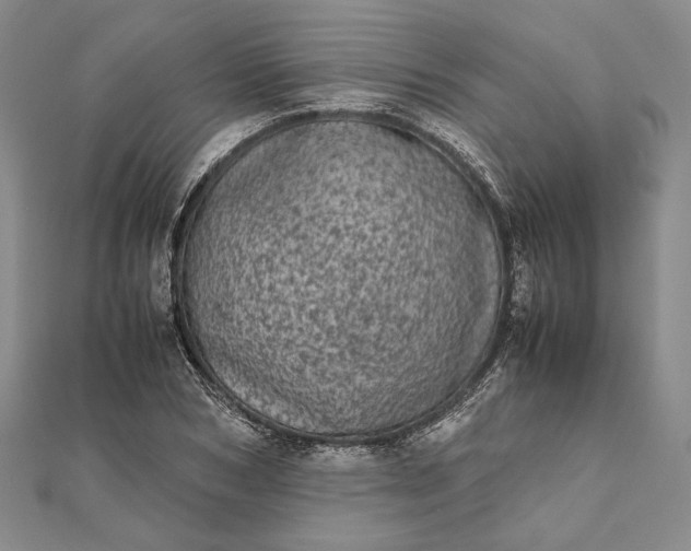 X0000111780978200908061111