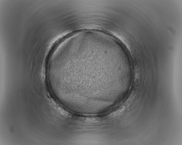 X0000111780979200908061111