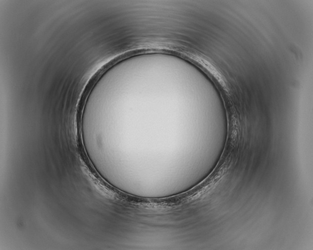 X0000111780980200908061111