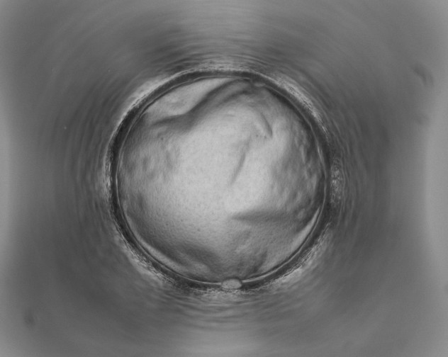 X0000111780981200908061111