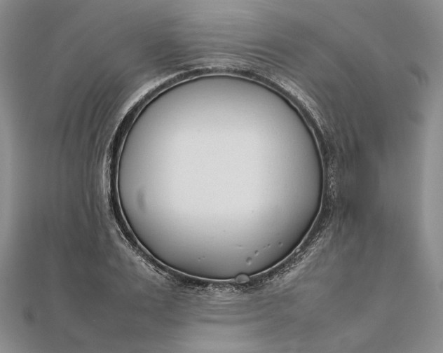 X0000111780983200908061111