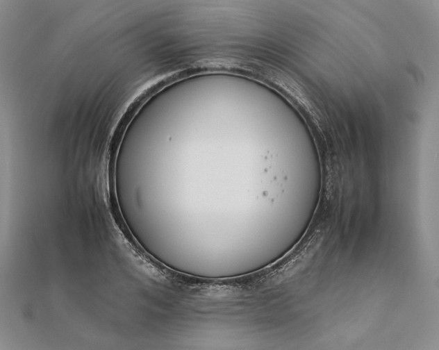 X0000111780984200908061111