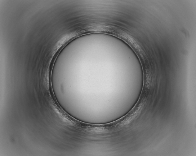 X0000111780986200908061111