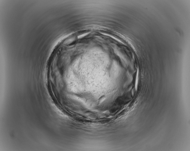 X0000111780987200908061111