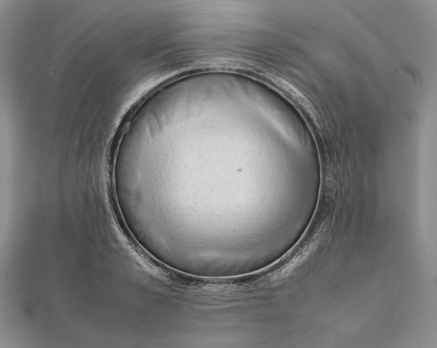 X0000111780989200908061111