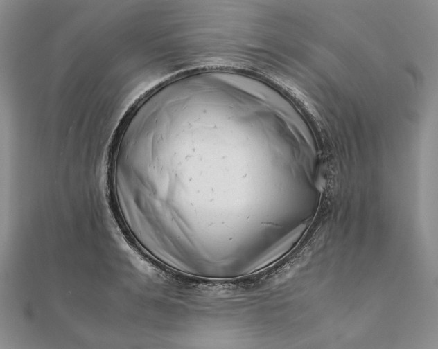X0000111780991200908061111