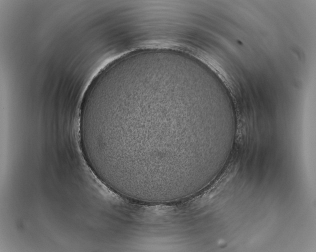 X0000111780992200908061111
