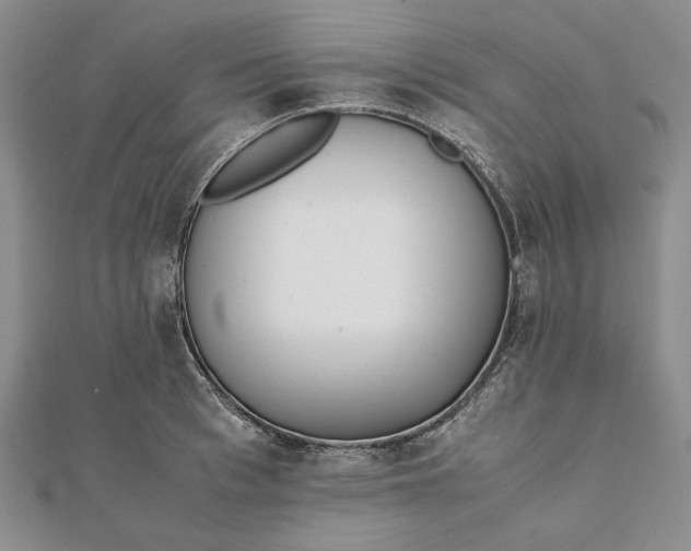 X0000111780993200908061111