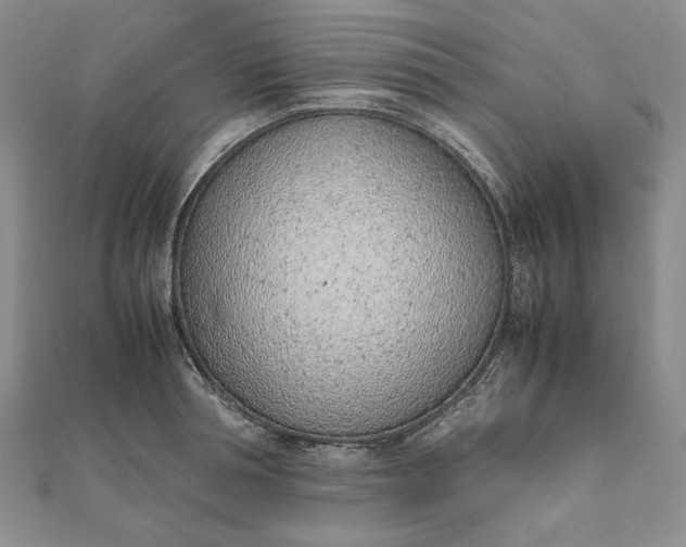 X0000111780994200908061111