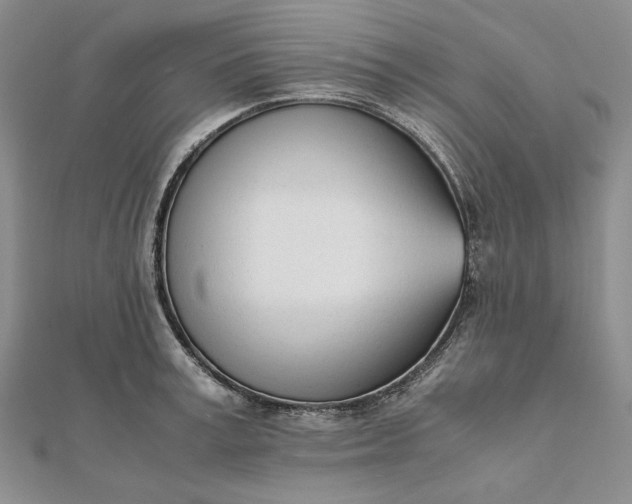 X0000111780995200908061111
