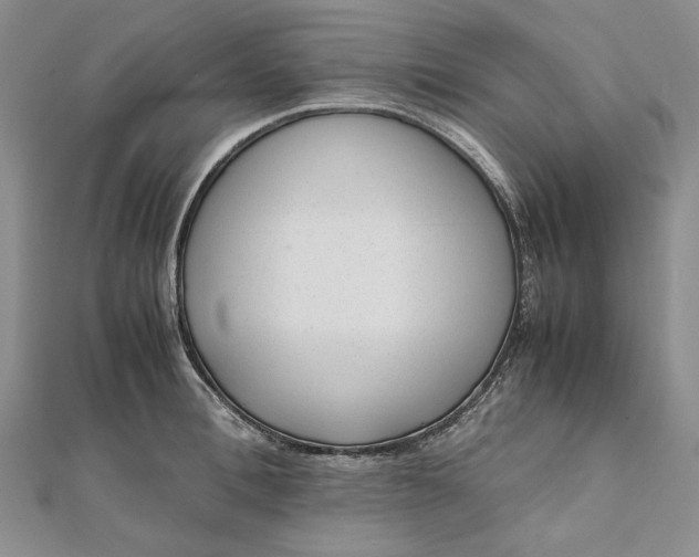 X0000111780996200908061111