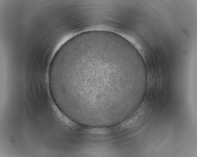 X0000111780998200908061111