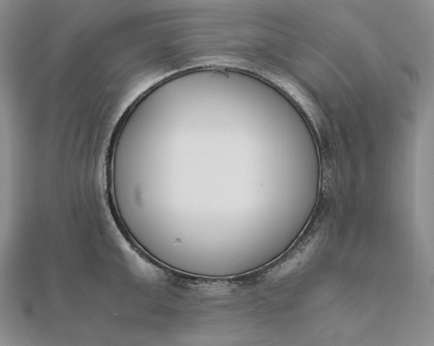 X0000111780999200908061111