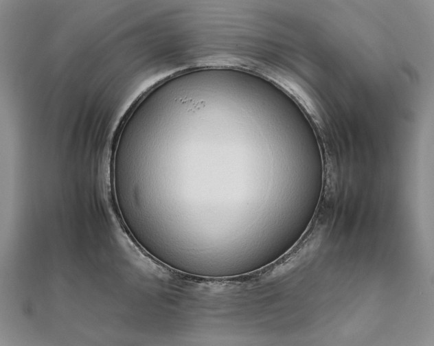 X0000111781000200908061111