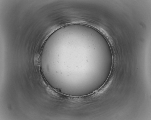 X0000111781001200908061111