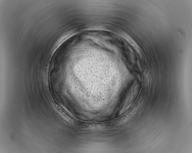 X0000111781002200908061111