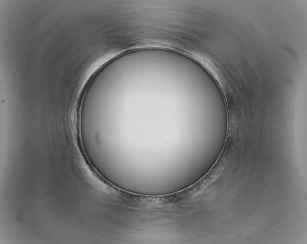 X0000111781003200908061111